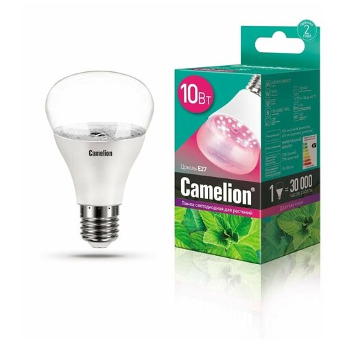     Camelion LED10-PL/ 766
