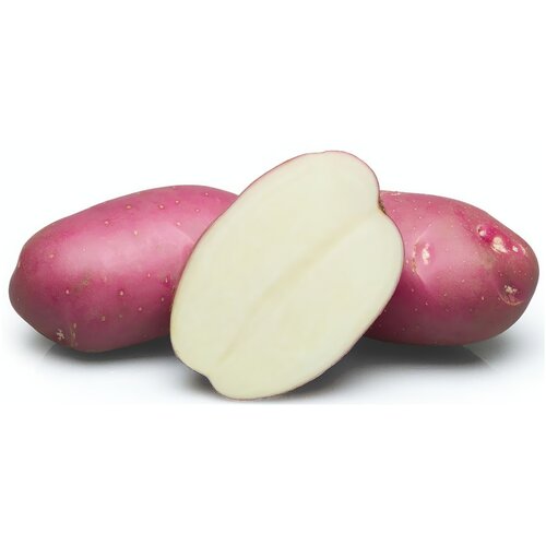 Картофель Розара, мешок 2 кг, семенной, отличный гарнир, для посева и получения хорошего урожая в зонах рискованного земледелия 957р
