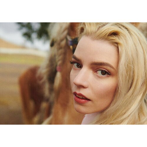 ������ 