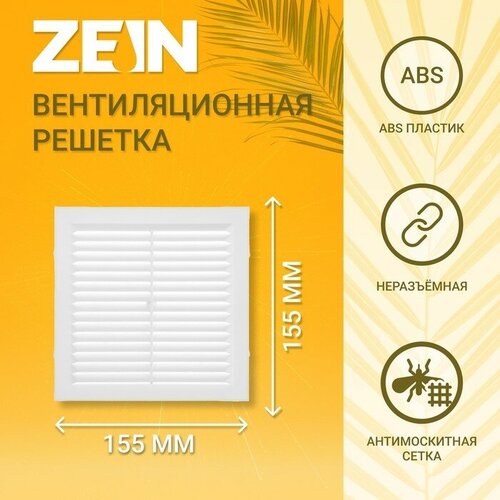   ZEIN  155, 155 x 155 ,  ,  240