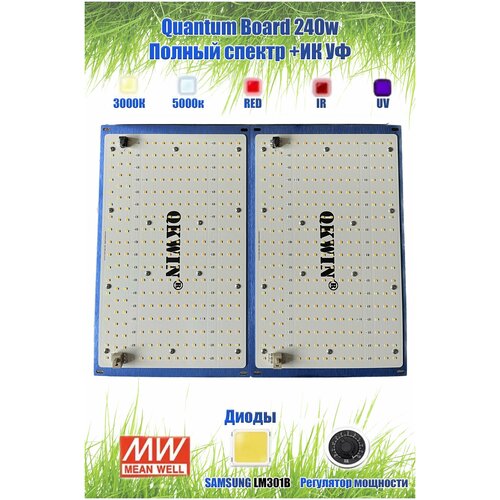    / Quantum board/  / 240 / Samsung LM301b/  /   / 450-650,  14888   