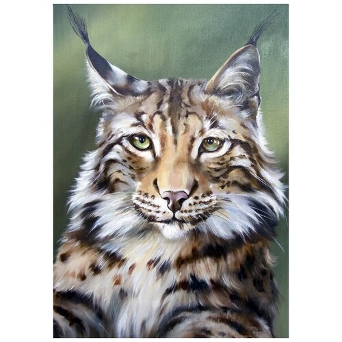     (Lynx) 2 30. x 43. 1290