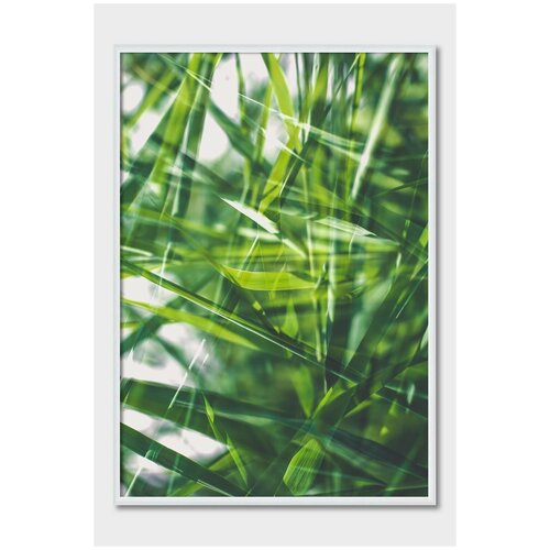������ ��� ��������� Postermarkt, 30�40 �� � ����� �����, ������ #24 1619�