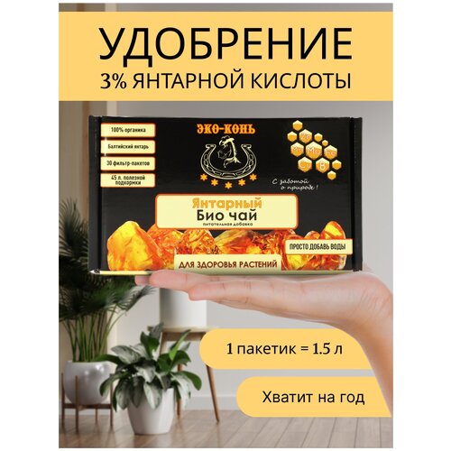 ��� ���� �������� ���-��� 425�