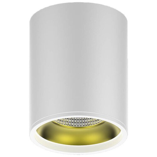 ��������� ���������� GAUSS LED HD010 12W (����� ������) 3000K 79x100,900��, 1/30 1850�
