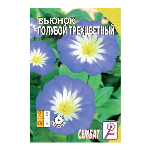 Семена цветов Вьюнок голубой трехцветный 0,5 г (10 шт) 792р