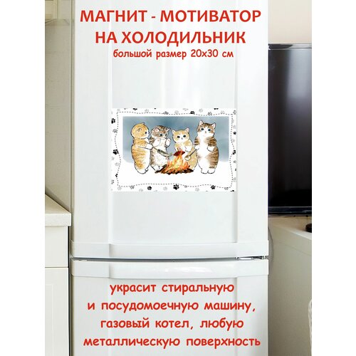 ������ ���� ������ ������ �� ����������� 20 �� 30 �� 790�