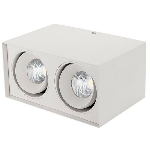 Arlight ���������� SP-CUBUS-S100x200-2x11W Warm3000 (WH, 40 deg, 230V) (2) 7516�