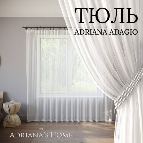  Adriana Adagio, , ,  290 ,  100  836