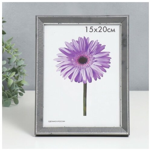 ��������� ������� Viola 15�20 �� �����-����� 626�