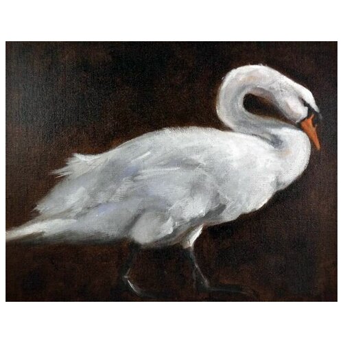     (Swan) 3 51. x 40. 1750