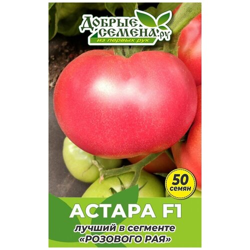Семена томата Астара F1 - 50 шт - Добрые Семена.ру 501р