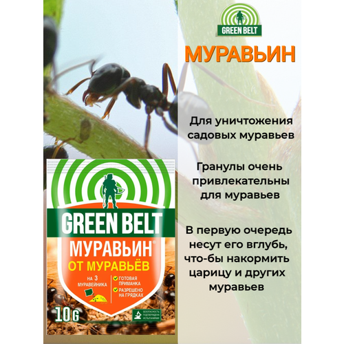   Green Belt ( ) 10 .    ,  148  Green Belt