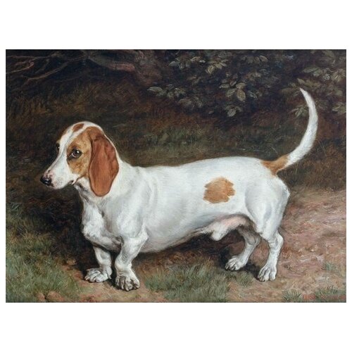     (Dog) 4 54. x 40. 1810