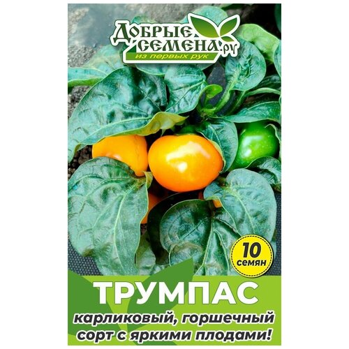 Семена перца Трумпас - 10 шт - Добрые Семена.ру 240р