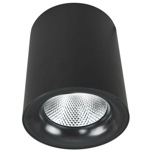 Arte Lamp ���������� ���������� Arte Lamp FACILE A5130PL-1BK 4790�