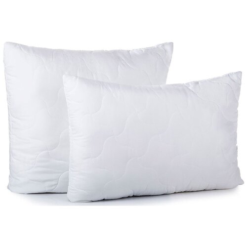 ������� Swan 50x70 2030�