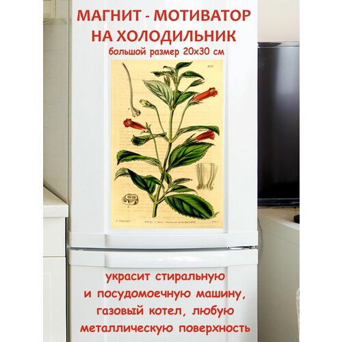 �������� ������ ������ �� ����������� 20 �� 30 �� 790�