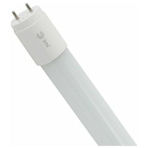    LED T8-20W-840-G13-1200mm 0055595 459