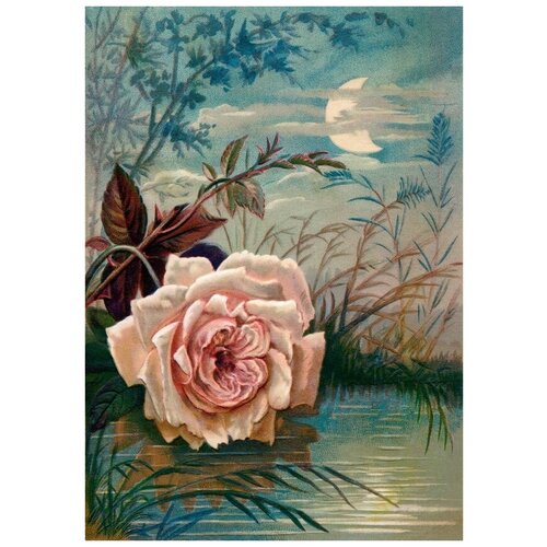       (Rose above the pond) 30. x 42. 1270