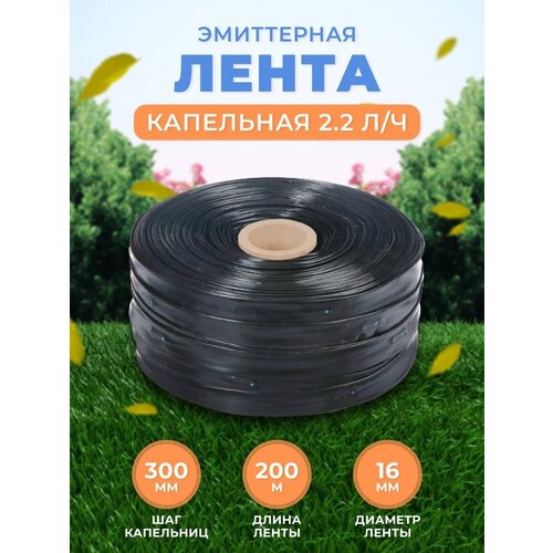 ����� ��� ������ ��������� 1353�
