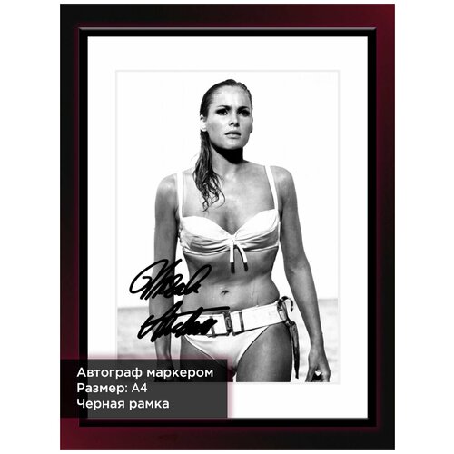 ������ � ���� � ���������� ������ �������, �4, ������ ���� 1784�