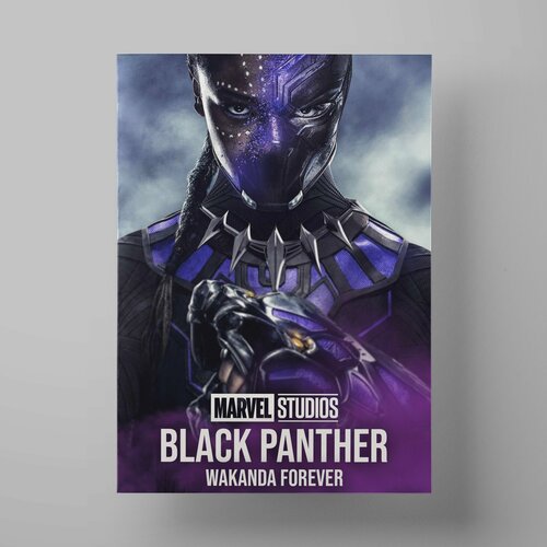   :  , Black Panther: Wakanda Forever, 3040 ,     560