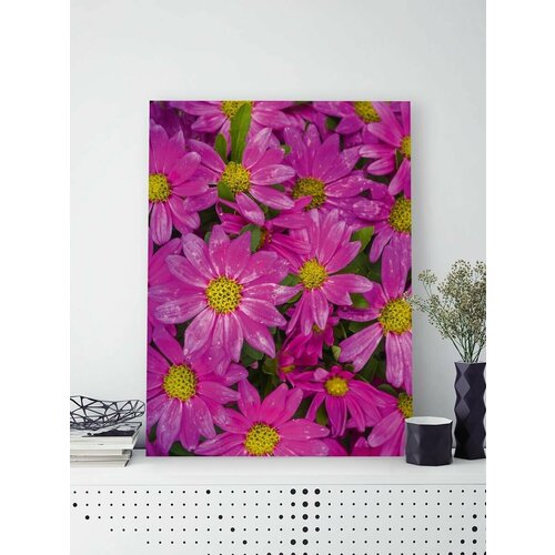 ������� �� ������ ����� ������� 30 x 40 �� ����� 495�