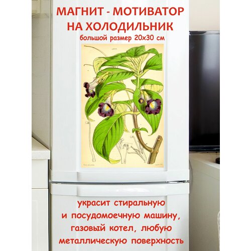 �������� ������ ������ �� ����������� 20 �� 30 �� 790�