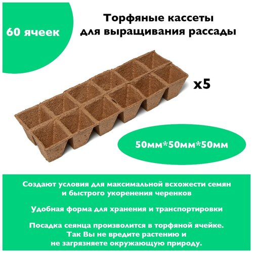 �������� ������, �������� ������, �������� ������� ��� ������� 12 ����� * 5 ���� (����� 60 �����) 270�
