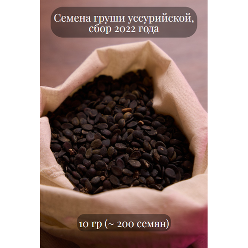 Семена Груши уссурийской 900р