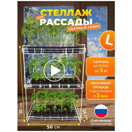 ������� ��� ������� ����� �������� ������ 1759�