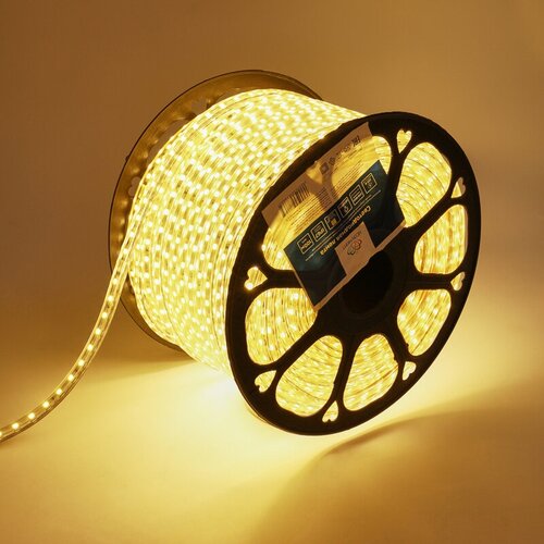   LED 220, 13x8 , IP67, SMD 5050, 60 LED/m   100  Neon-Night 19261