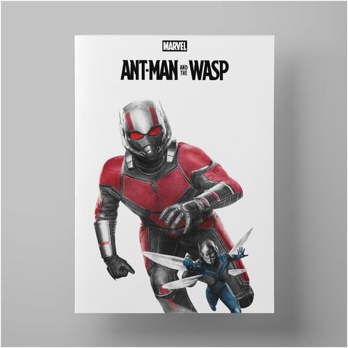   -  , Ant-Man and the Wasp, 3040 ,   - ,     Marvel,  590   