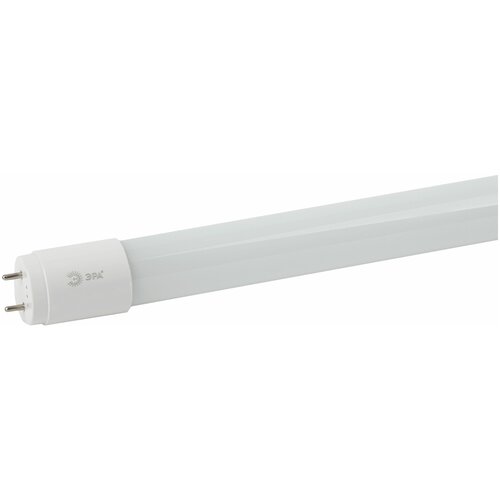    ECO LED T8-10W-840-G13-600mm (, ,10,,. G13) 102