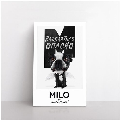���������� ������ MILOTA ����������� ������� 