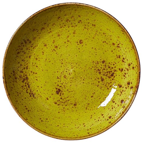 �������� ������ ���� 650 �� D=20,5 �� Steelite 3034207 1211 0570 1790�