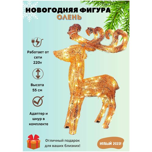 ������������ ������ 