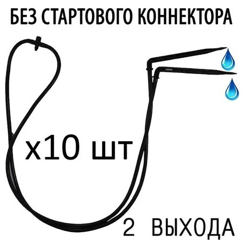 ���������� ������ ������� � �������� �� ��� ������� � ��������� � �������, 10 �� 990�