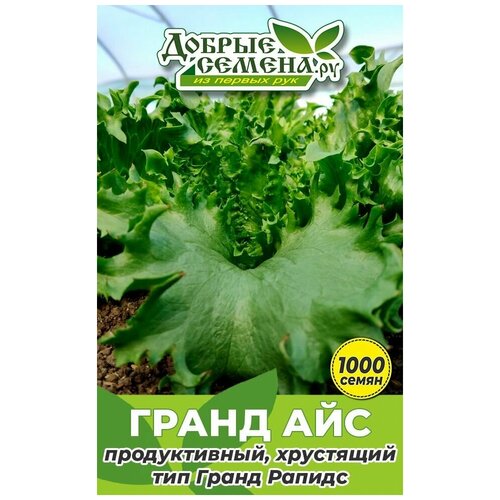 Семена салата Гранд Айс - 1000 шт - Добрые Семена.ру 260р