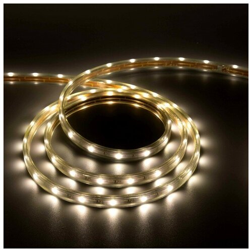   Ecola, 220, 14x7 , SMD5050, 10 , IP68, 7.2 /, 30 LED/, 4200 1700