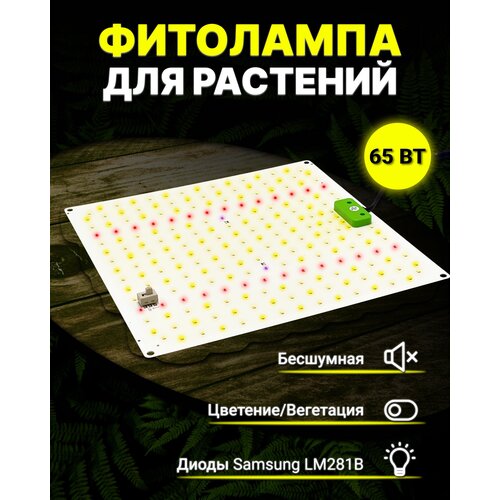      Samsung LM281b+/ quantum board/  /     3490
