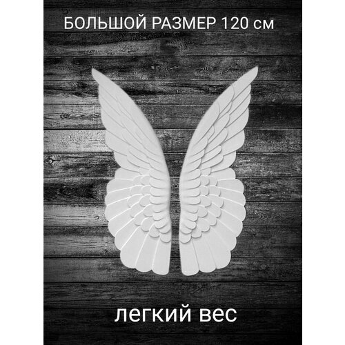 ����� ������ ������ 1 ���� ������� ������ 6500�