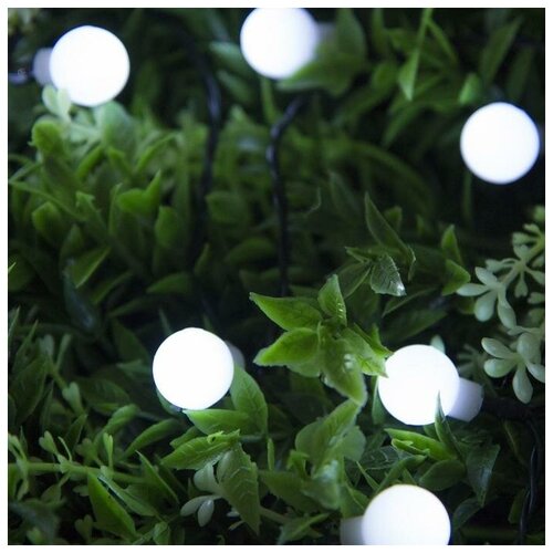   4.5    , IP44,  , 30 LED,  , 2 ,   823