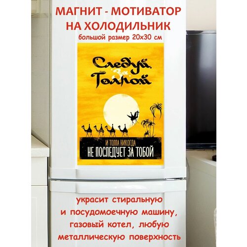 ������ �� ������ � ����� ������� �� ��������� �� ����� ��������� ������ ������ �� ����������� 20 �� 30 �� 790�