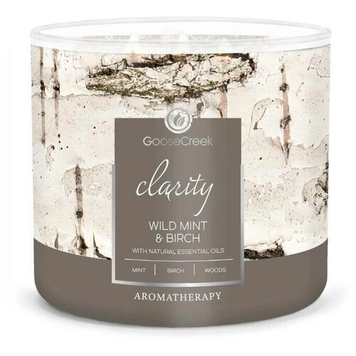   GOOSE CREEK Wild Mint & Birch 35 151184-vol 3000