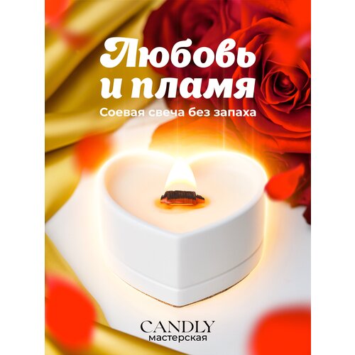     Candly 