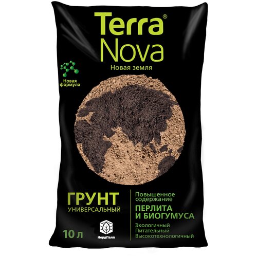     (Terra Nova) 10  389