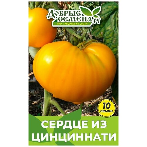 Семена томата Сердце из Цинциннати - 10 шт - Добрые Семена.ру 144р