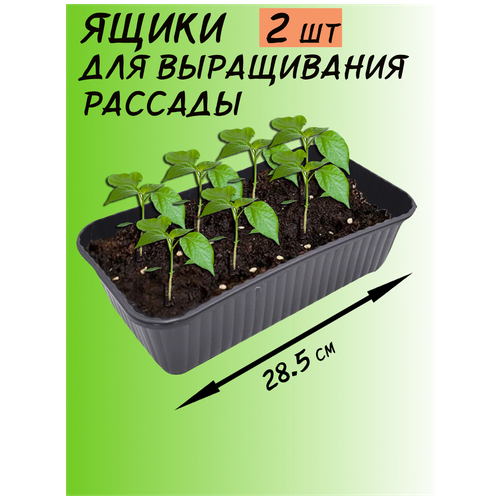 ���� ��� ����������� ������� 2 �� � ��������� 344�